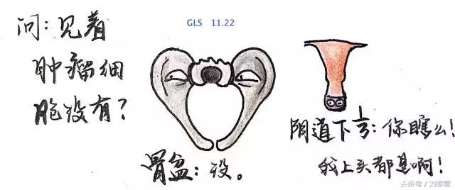 宫颈癌科普知识宣教视频,宫颈癌的科普知识宣传