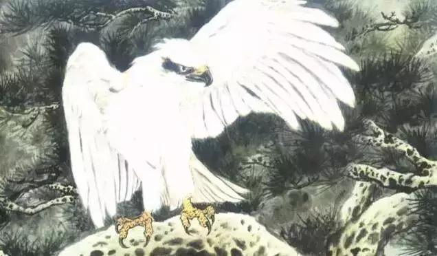 国画写实鹰怎么画,国画画鹰的技法