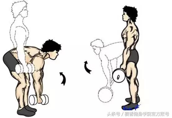 家庭哑铃练肩最好的动作,居家全身的哑铃训练动作