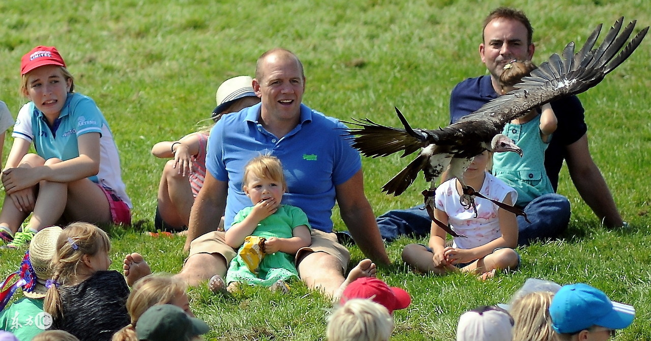 itookpillinibiza,一首超棒的歌曲