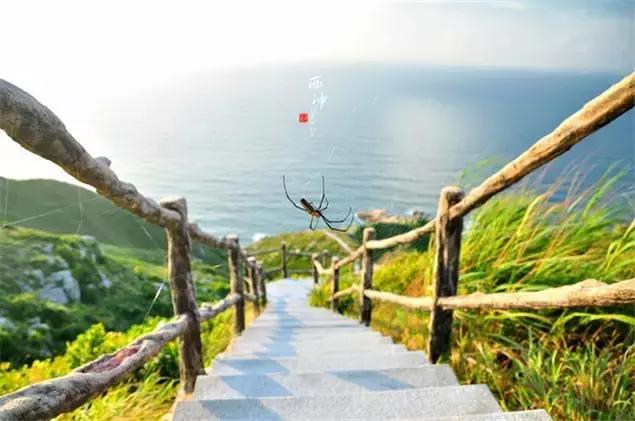 深圳龙岗周边游玩景点推荐,深圳及周边亲子游好去处