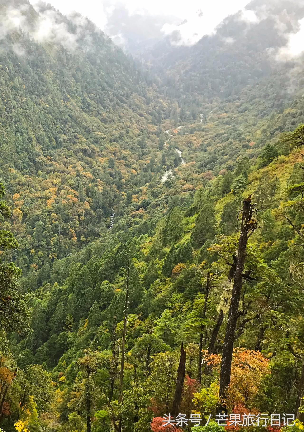一个人独闯边境,一个人独闯的视频