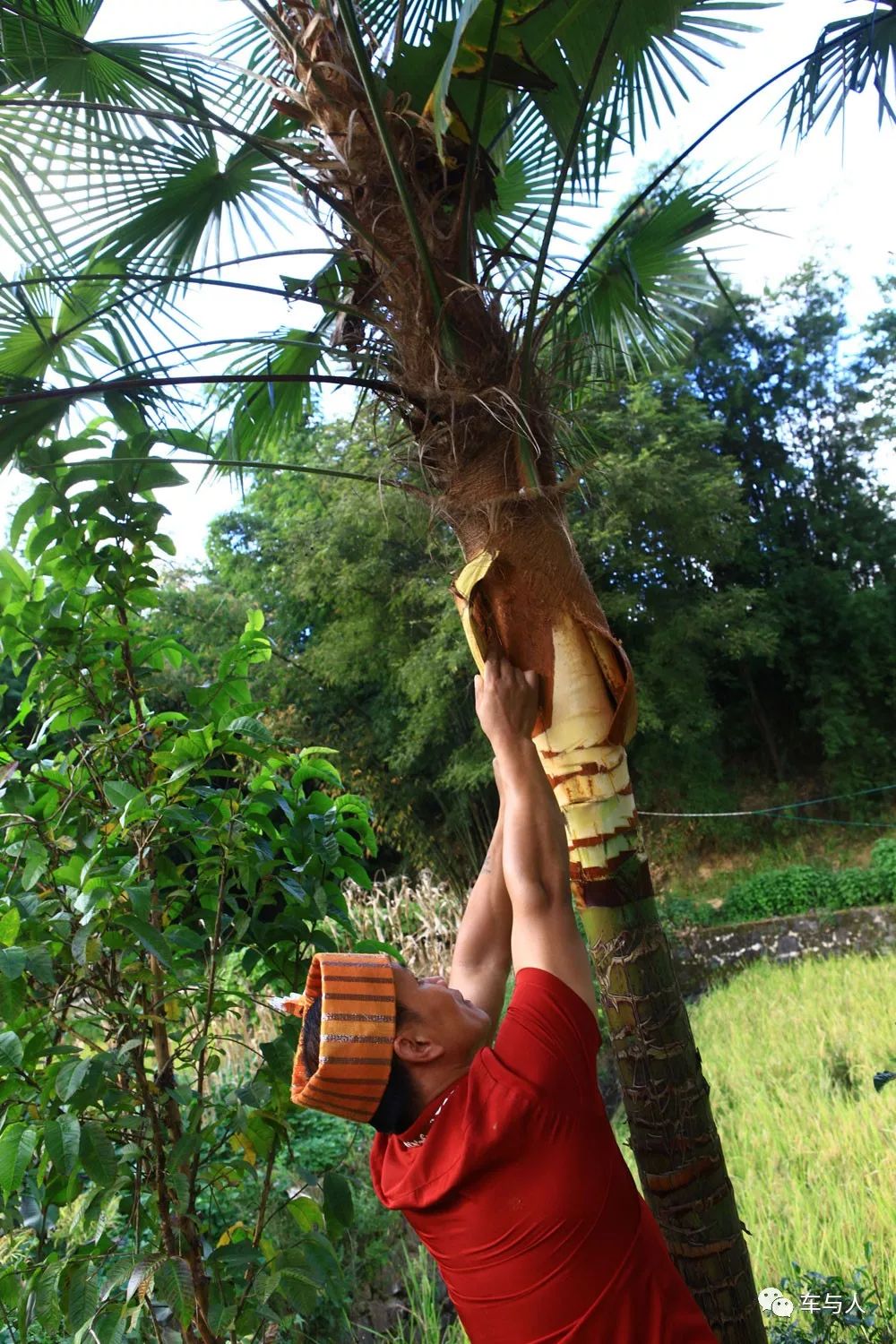 腾冲一个清净古朴的边陲小城,腾冲避暑旅居推荐