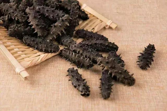 经常吃海参的人一定要看完视频,经常吃海参的人还有得癌症的吗