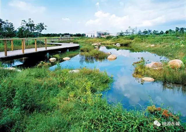 桃源双洲生态公园2020年,桃源双洲公园游乐场新增加设施