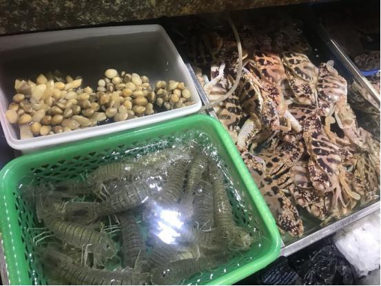 三亚吃喝玩乐亲身攻略——两匹北方的大姑娘吃喝玩乐在三亚