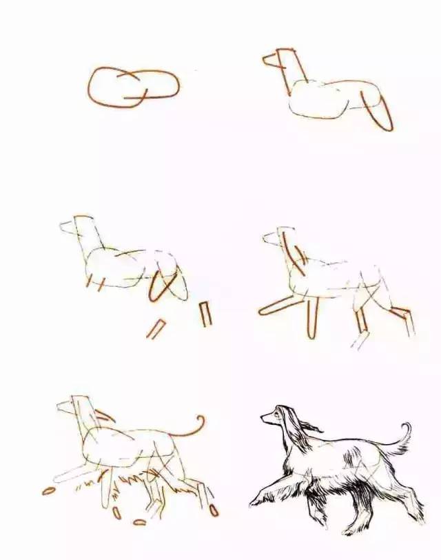 艾莎公主怎么画简单又漂亮简笔画,蔬菜的简笔画怎么画又好看又简单