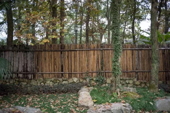 罗莱夏朵杭州紫萱度假村团购,杭州罗莱夏朵酒店日式餐厅