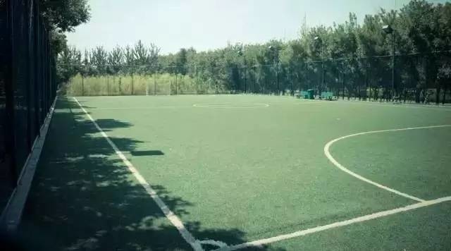 郑州公园推荐免费十一月,郑州免费公园景点推荐