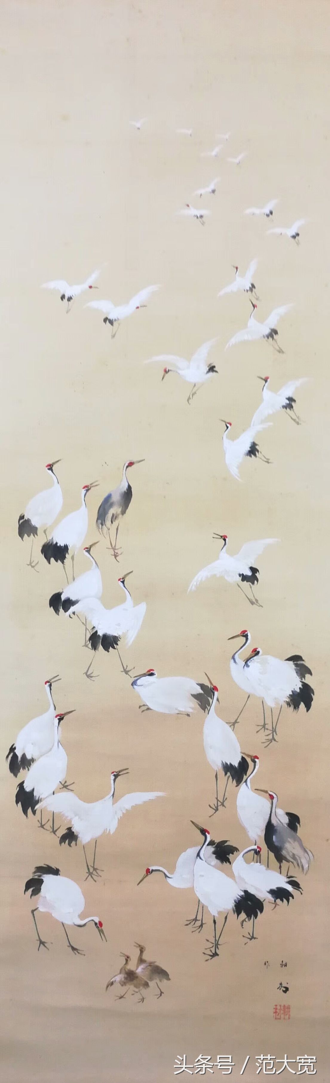 日本画师画仙鹤,仙鹤画作讲解