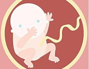 胎儿在肚子里听的声音响吗,胎儿在肚子里滑到一边