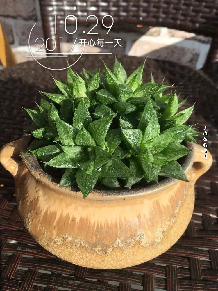 家有3姐妹,家有三姐妹好幸福