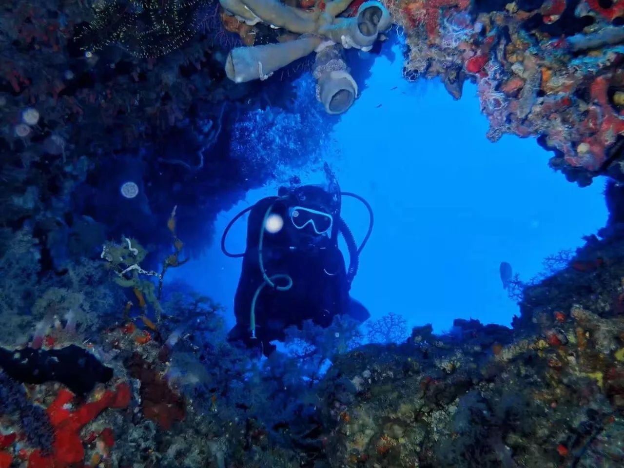 90后女孩月入30w,90后女孩要求薪水3万多