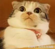 苏州地铁11号线沿线房价,苏州地铁一号线沿线房子