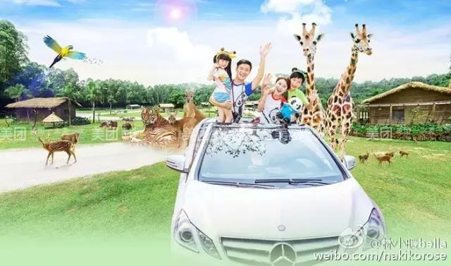 两大一小广州长隆亲子游攻略,最新广州长隆带娃游玩攻略2天