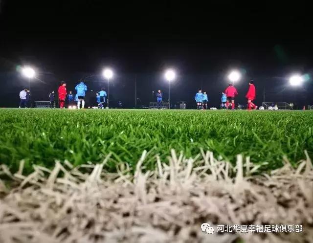 河北华夏幸福对山东鲁能比分预测,河北华夏幸福对国安