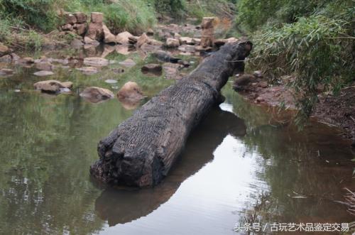 简单介绍一下乌木及其收藏价值,乌木目前价值