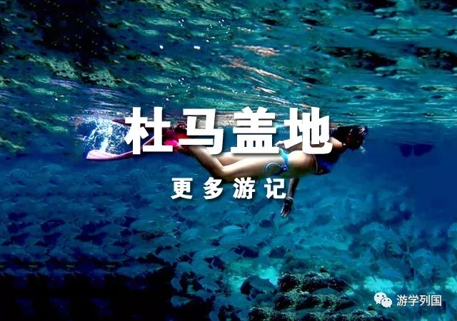 菲律宾游学需要什么条件,菲律宾游学视频大全