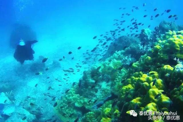 泰国绝美小众海岛系列之——蜜月岛