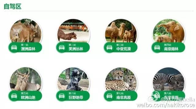 广州长隆亲子游最省钱攻略,广州长隆亲子游最全游玩攻略