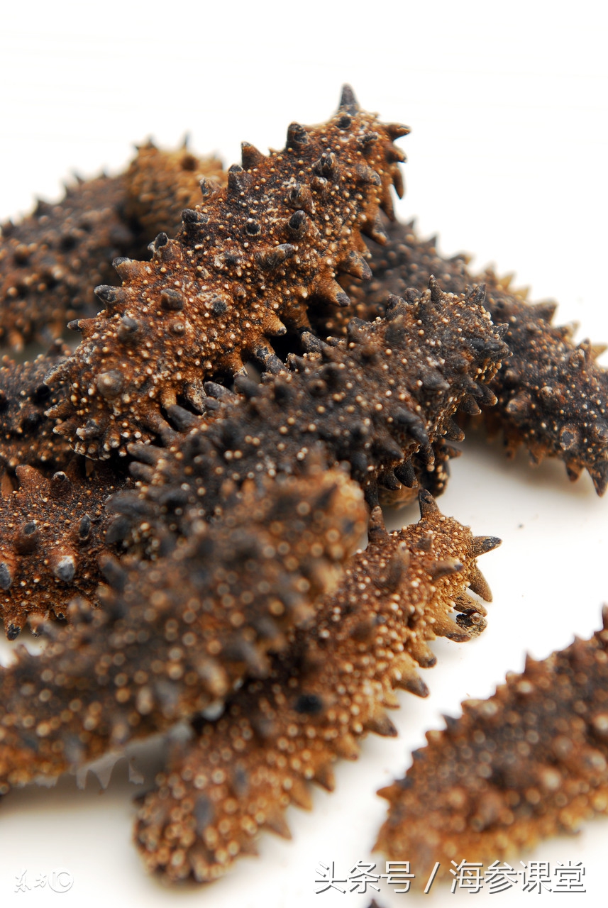 海参最珍贵,海参的好不好从哪里看出来