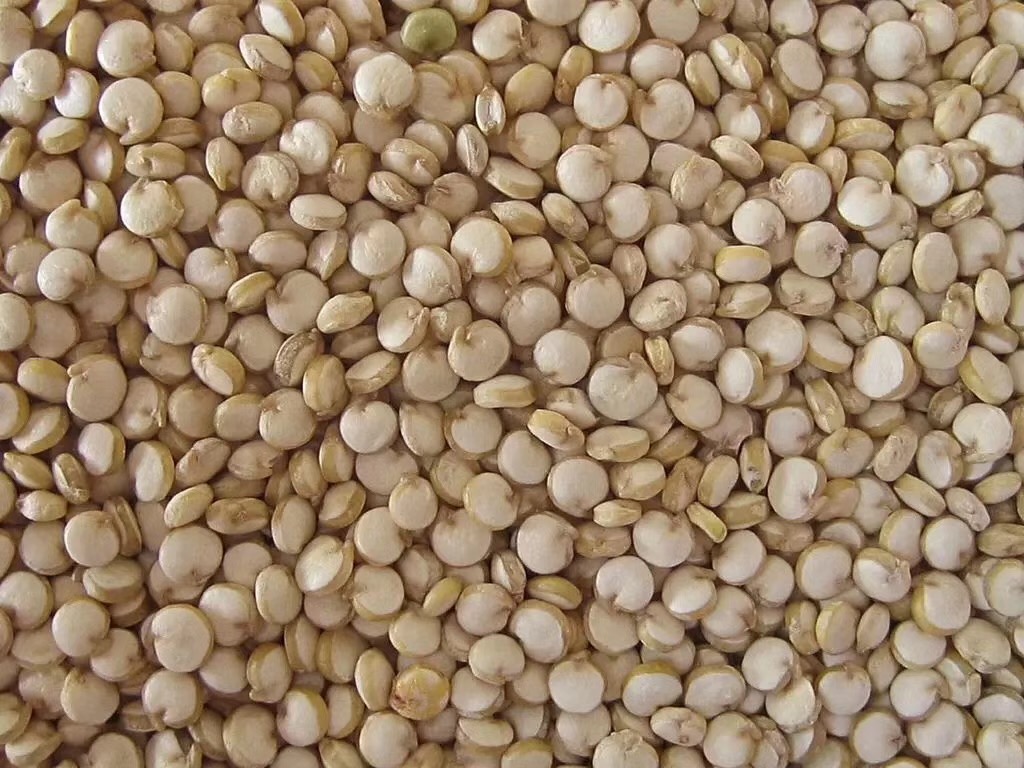 生活必备营养素,生活必备食物