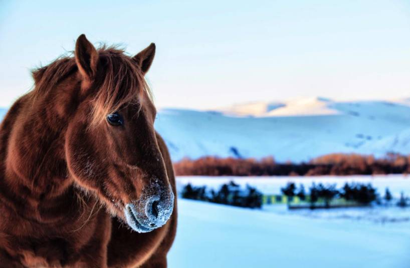 冬天值得去的旅游景点自驾游,冬季值得去旅游的十大地方