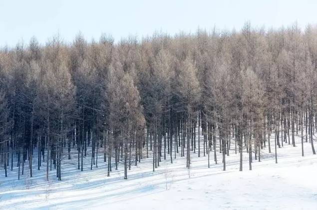 冬天值得去的旅游景点自驾游,冬季值得去旅游的十大地方