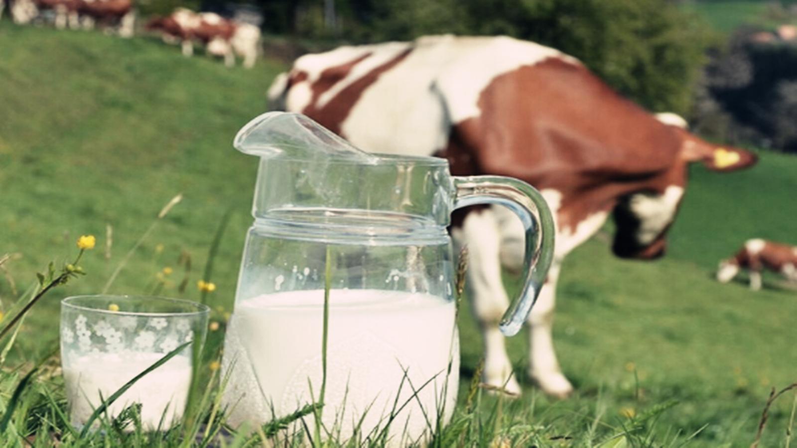 宝宝上火了怎么下火,宝宝喝母乳上火宝妈应该吃点什么