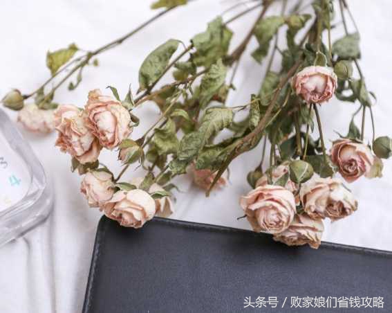 给大家推荐一些提升幸福感的东西,提升生活幸福感的十件小物