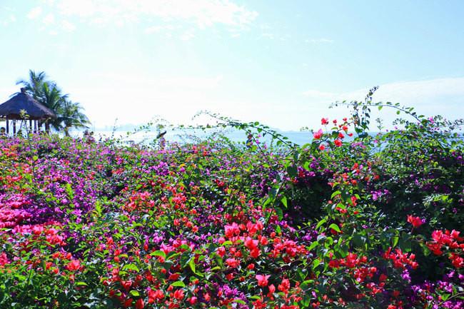 三亚市最美的景色拍摄,拍摄美丽三亚