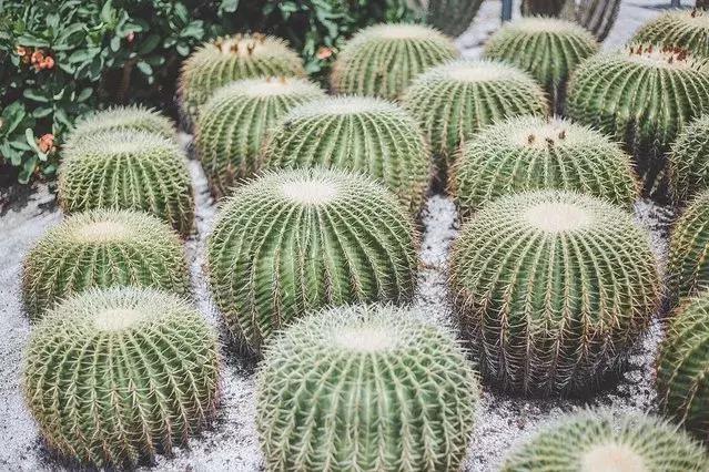 厦门旅游自由行攻略,厦门自由行旅游攻略