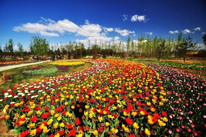 浦东头条新闻,浦东新区新闻头条最新