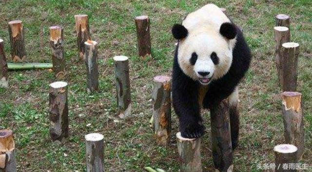 古人扎马步可以扎多久,扎马步有什么优势