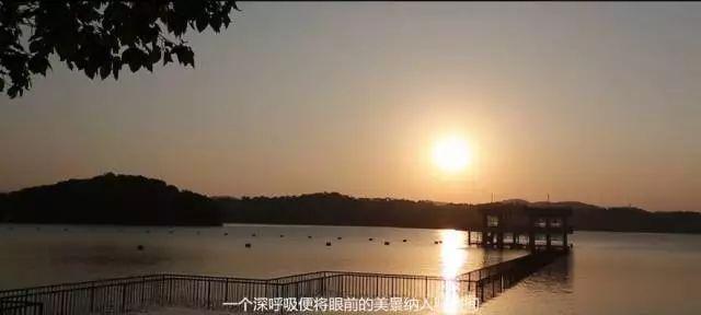 离城市不远靠自然很近,离城市不远却离自然很近完整版