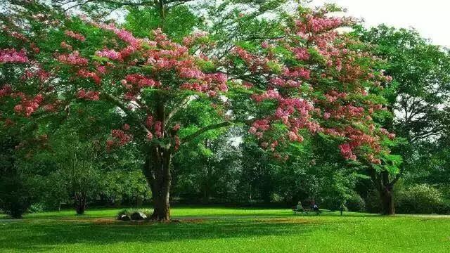 多彩的西双版纳,多彩云南版纳