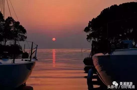 青浦17号线到瑞金医院地铁站,青浦17号线延伸到嘉善站点