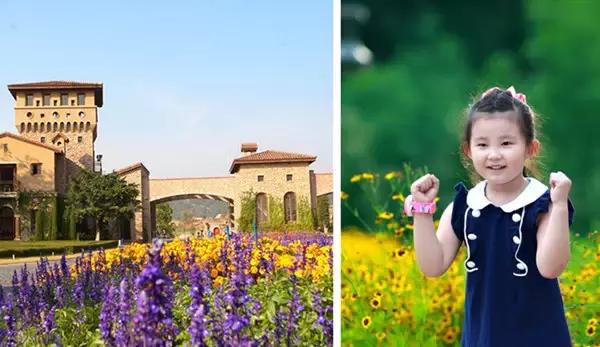 深圳亲子酒店攻略,深圳周边游亲子游玩推荐