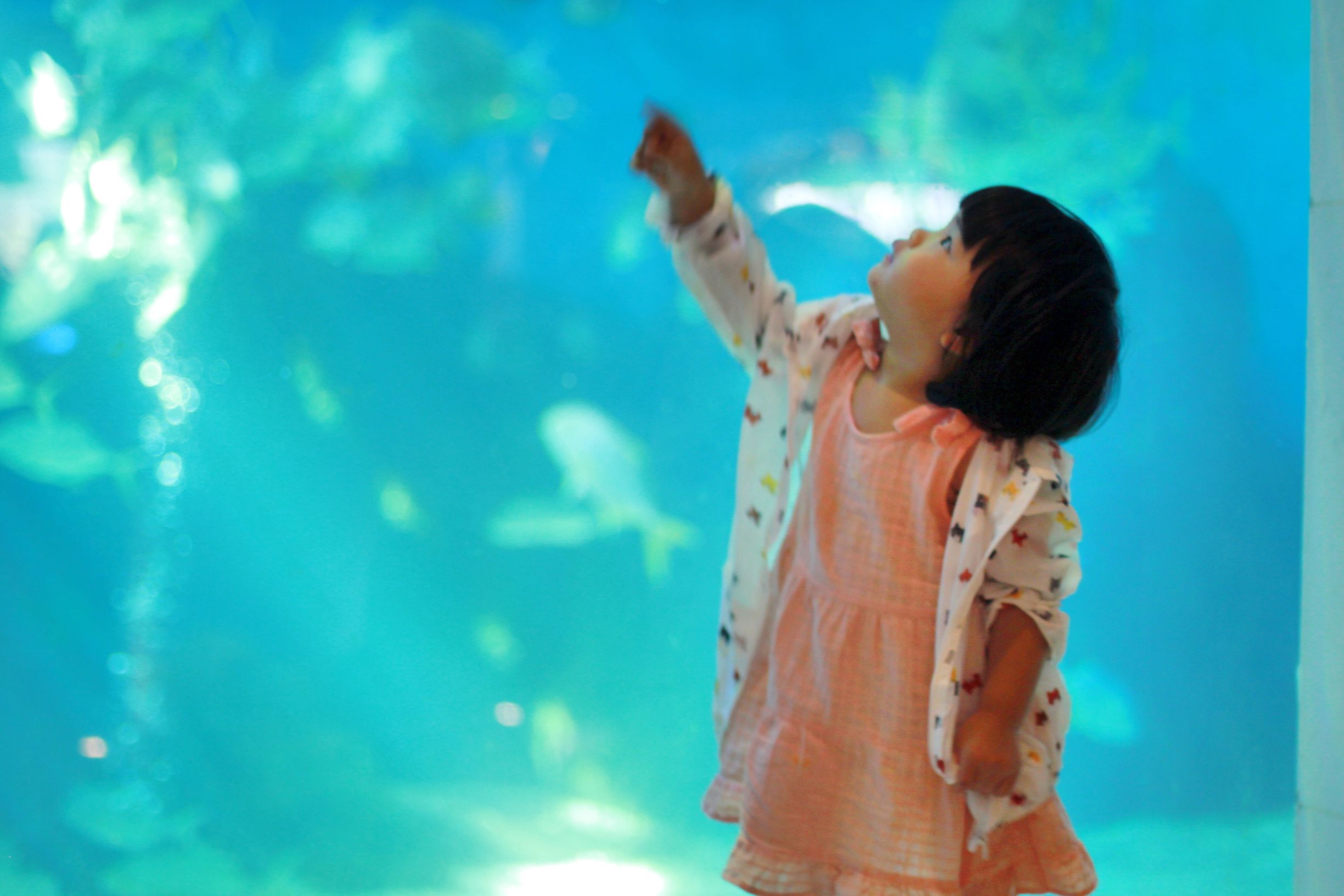 三亚4天3晚海景推荐,颠覆你对海南印象