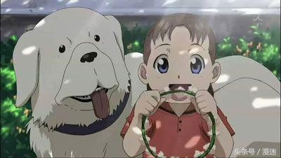 盘点全网十大网红狗狗,盘点电影中的十大狗狗明星