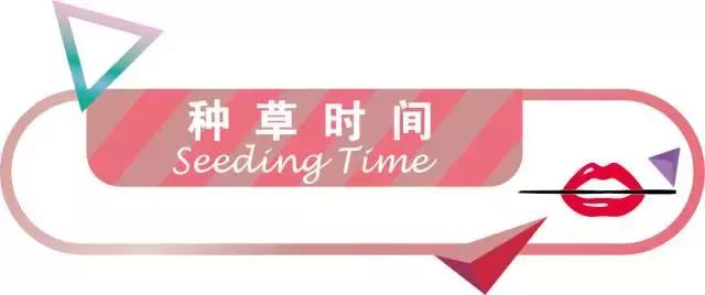 好用的护肤精华推荐,国产好用又平价的护肤精华