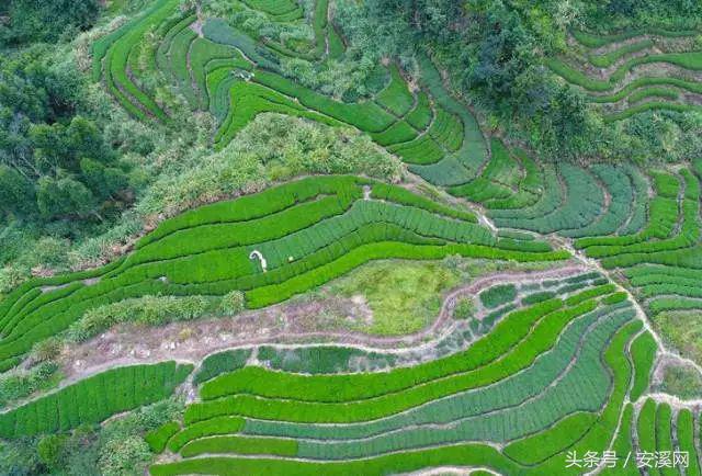 厦沙高速安溪最新消息,厦沙高速公路泉州段