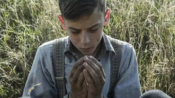 100%冷门佳片，几乎无人知道的历史