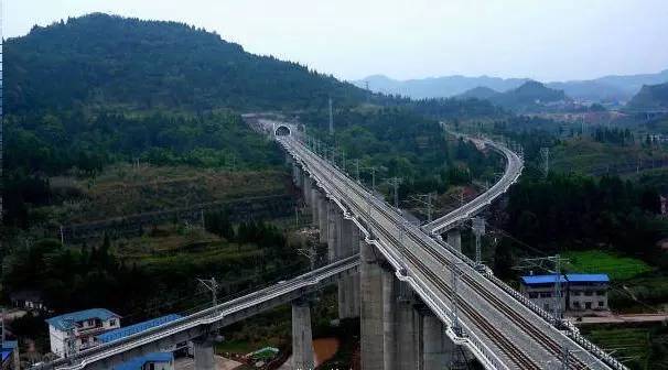成都旅游人流量实时今天,成都旅游热