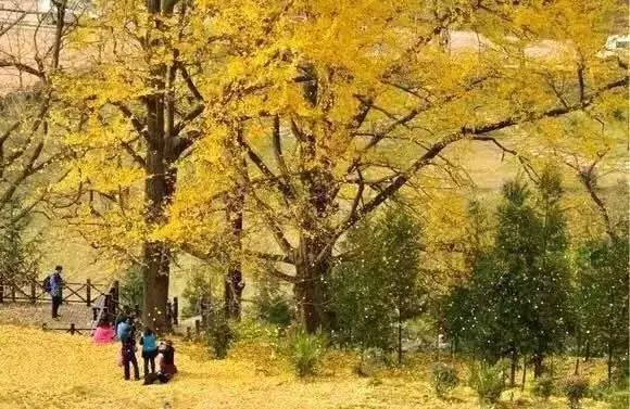 来贵州六盘水享受凉都带来的凉爽,凉都六盘水冬天多少度