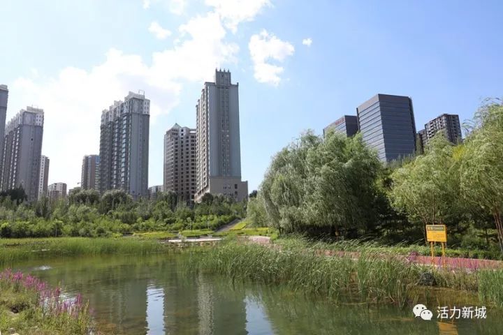 简直不敢想象未来的生活有多幸福,以后你的生活会好吗