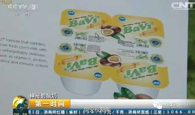 越南酸奶新闻,越南酸奶最新消息