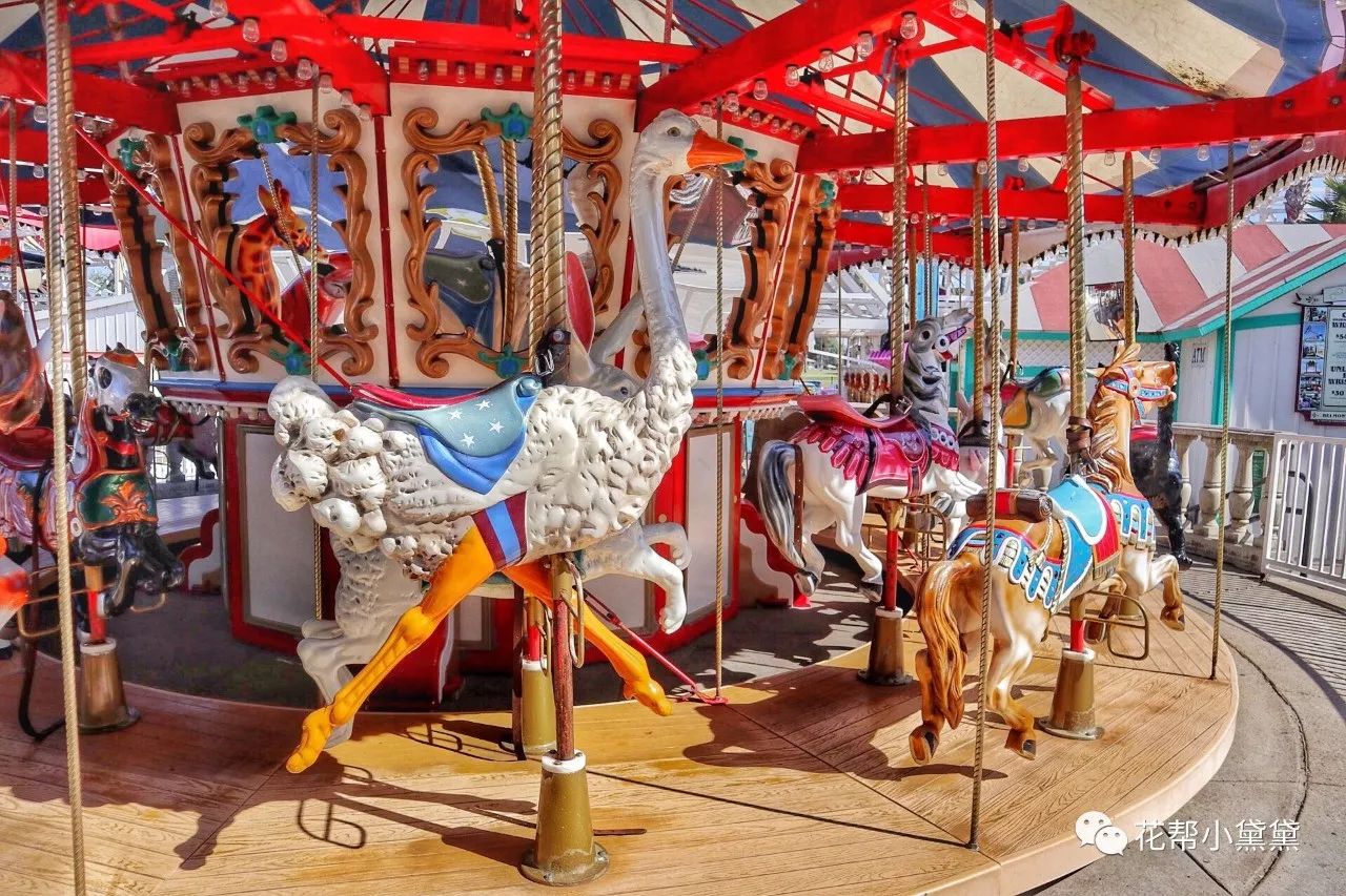 时髦旅拍神器|玩转美国这个城市看这一篇就够了私房路线干货