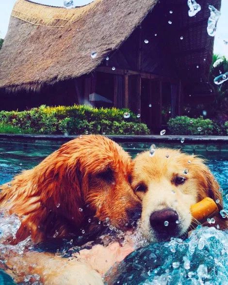 巴厘岛比较好的酒店有哪些,巴厘岛景色最好的酒店