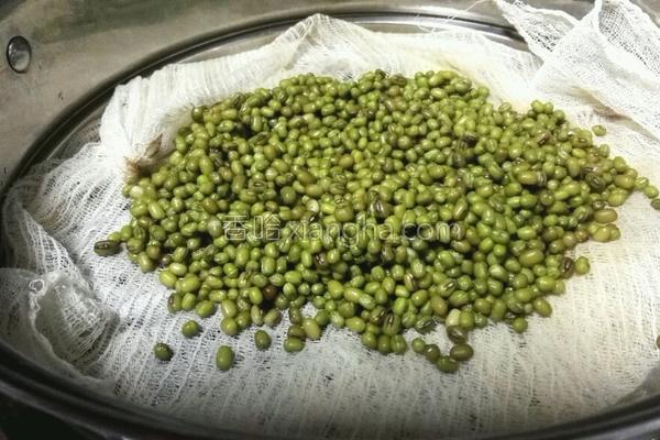 绿豆饼皮制作方法,纯手工带皮绿豆饼